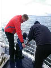 Cod Fishing46